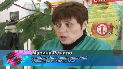 ТВ Сфера-выпуск 13 января