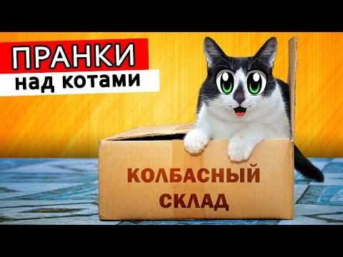 НОВЫЕ ПРИКОЛЫ с КОТАМИ! СМЕШНОЙ КОТ МАЛЫШ и КОШКА РЫЗЫГРАНЫ! *Колбасный склад РЕАЛЬНО Существует*