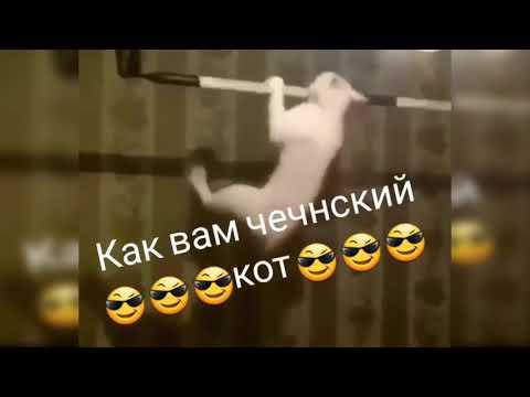 Я_ЧЕЧЕН_95 ►Лучшие приколы! ►Чеченские и русские! #29
