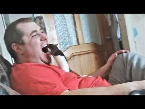 ПРИКОЛЫ С КОТАМИ И СОБАКАМИ С ОЗВУЧКОЙ на русском – Ютуб Приколы с Животными 2018