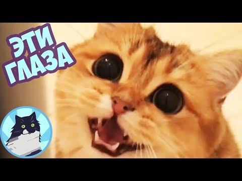ЭТИ ГЛАЗА 