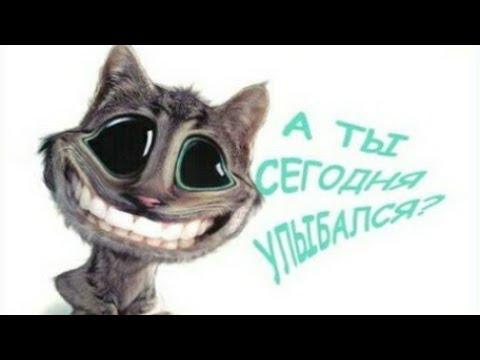 BEST CUBE | ПРИКОЛЬНЫЕ ВИДЕО | Mega Coub | Залипашка | Funny | Чудики из соцсетей | Юмор | Пранки
