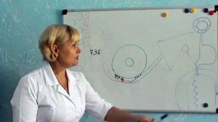 Так какую же пить воду? Когда и сколько?