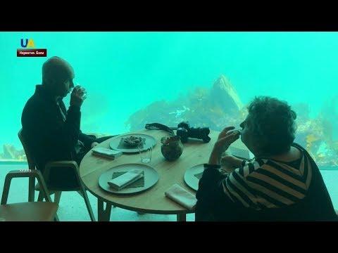 Лучшие Приколы 2020 Май - Подводный Ресторан