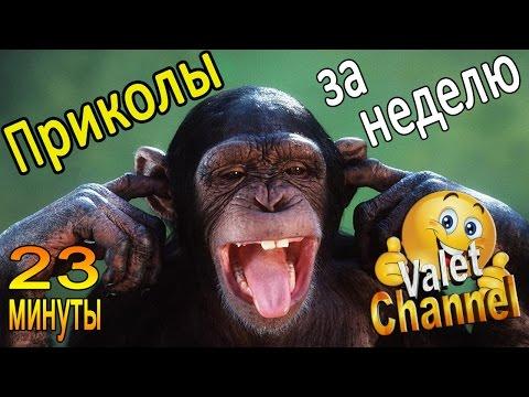 ✔ Все ПРИКОЛЫ за неделю | 23 минуты Лучших Приколов от Valet Channel