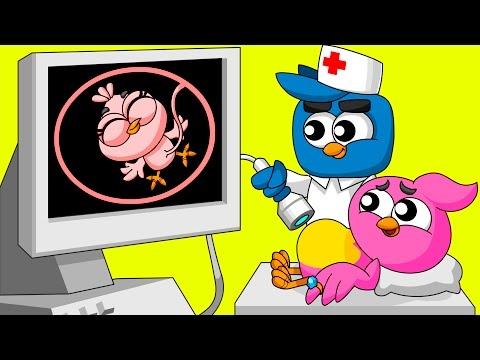 Angry Birds Family Mommy Has a Baby Full Episodes Cartoon Animation Nursery Rhymes