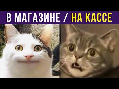 Приколы. В МАГАЗИНЕ / НА КАССЕ | Мемозг #324