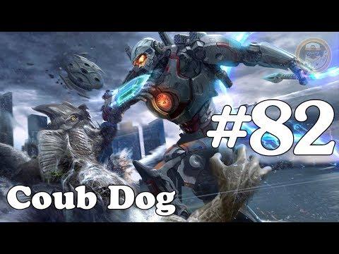 Coub Dog#82 (лучшие приколы за Июнь 2018)