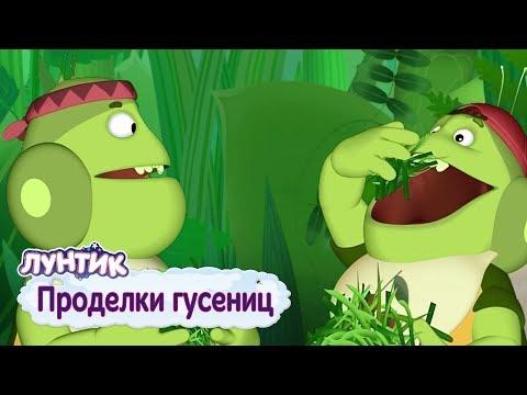 Проделки гусениц 