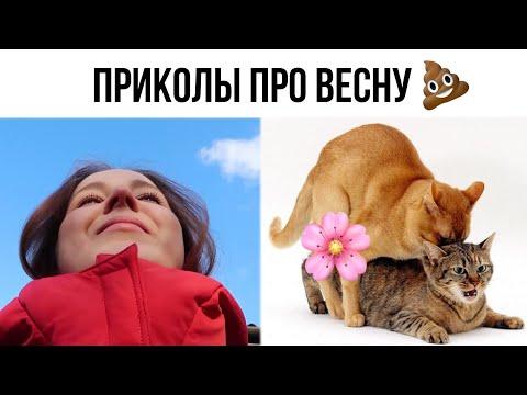 ПОДБОРКА ВАЙНЫ 2020, Приколы про весну/ ЛОГУНОВА ЕКАТЕРИНА/ Весенее обострение