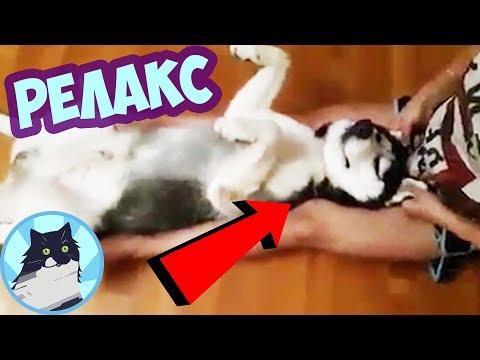 РЕЛАКС 