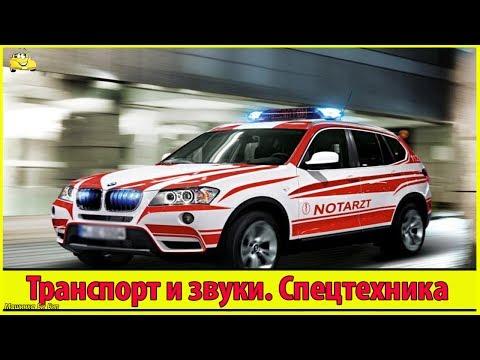 Мультик про машинки звуки транспорта, изучаем машинки