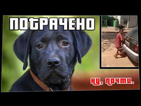 ПОТРАЧЕНО. Ну, почти. Лучшие приколы 2021, смешные видео и фейлы
