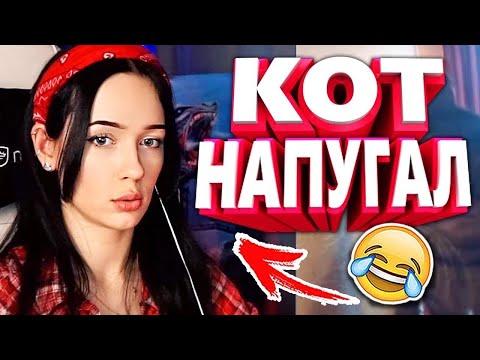 20 МИНУТ ОТБОРНЫХ ПРИКОЛОВ | ЛУЧШИЕ ПРИКОЛЫ ФЕВРАЛЬ 2020 ржака до слез угар прикол - ПРИКОЛЮХА