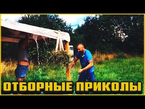 Отборные приколы август 2020 | Лучшие приколы август 2020 #66