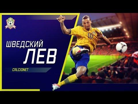 Златан Ибрагимович - Шведский ЛЕВ