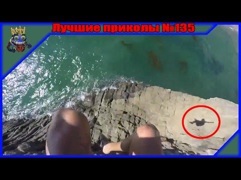 лучшие приколы, тест на психику январь 2017  (подборка №135)