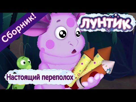 Настоящий переполох 
