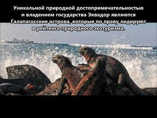 HD8M Остров Изабелла Галапагосские острова. С сайта dxnews.com