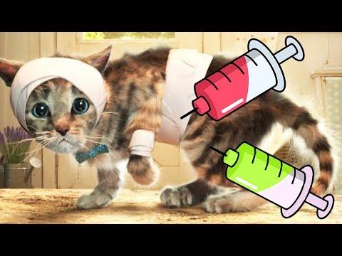 Мой Маленький котенок - мультик смешное видео - Новый мультик для детей - Игры для Детей  #2