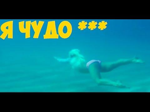 Приколы для взрослых 288. Приколы 2017 Stop Top