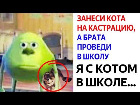Лютые приколы. ЗАНЕСИ КОТА НА КАСТРАЦИЮ, а БРАТА ПРОВЕДИ В ШКОЛУ. КОРОЧЕ ГОВОРЯ, УГАРНЫЕ МЕМЫ