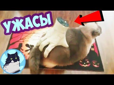 УЖАСЫ 