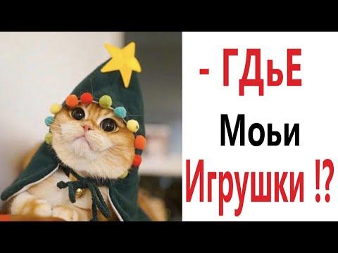 Приколы! ГДЕ МОИ НОВОГОДНИЕ ИГРУШКИ?!! Смешные видео от – Доми шоу!