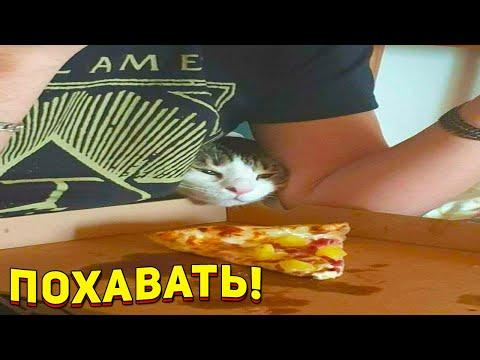 ЗАСМЕЯЛСЯ - ПОДПИСАЛСЯ!! ЛУЧШИЕ ПРИКОЛЫ 2021 ТЕСТ НА ПСИХИКУ УГАР! #419