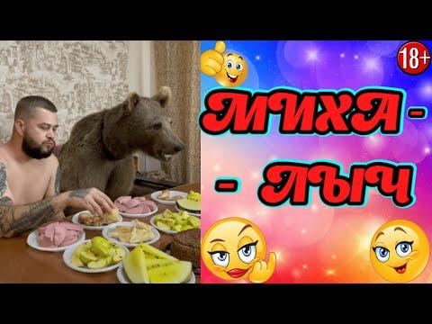 ЛУЧШИЕ ПРИКОЛЫ СЕНТЯБРЯ  2021  15 МИНУТ СМЕХА ДО СЛЁЗ  угар  tik tok video  тик ток  #229
