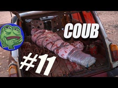 BEST CUBE. COUB ЛУЧШЕЕ. ЛУЧШИЕ ПРИКОЛЫ. Coub Покубатурим