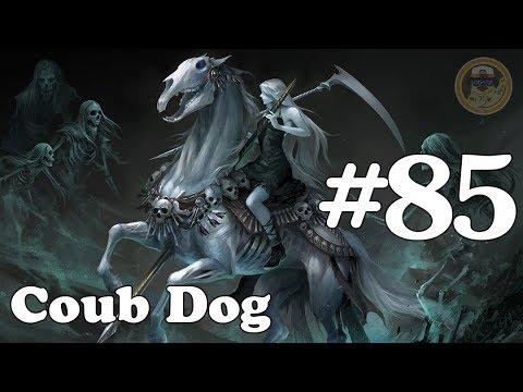 Coub Dog#85 (лучшие приколы за Июнь 2018)