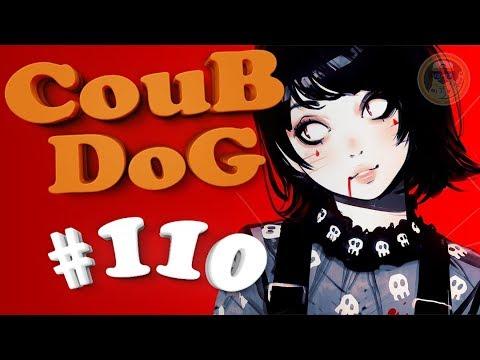 BEST COUB DOG #110 | лучшие приколы за НОЯБРЬ 2018 / mycoubs / аниме / mega coub / моменты / funny