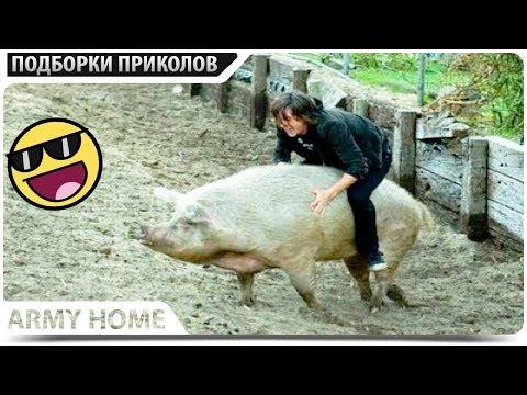ПРИКОЛЫ 2018 Июнь #449 ржака до слез угар прикол - ПРИКОЛЮХА