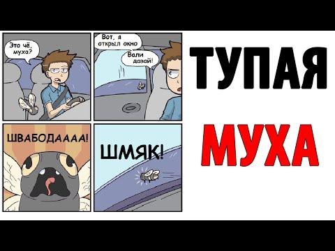 Лютые приколы. ТУПАЯ МУХА. Угарные мемы