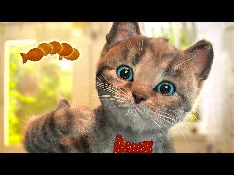 ПРИКЛЮЧЕНИЕ МАЛЕНЬКОГО КОТЕНКА мультик про котика малыша с подарком конфет и желейным медведем #КИД