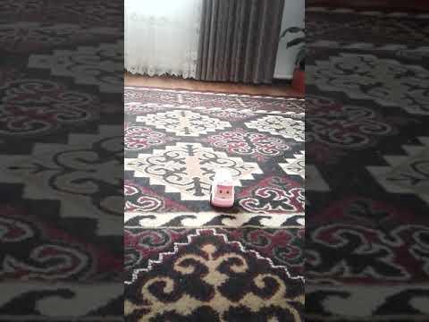 Дуратский, детский мультик