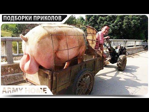 ПРИКОЛЫ 2021 Март #157 ржака до слез угар прикол - ПРИКОЛЮХА