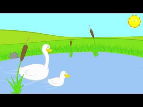 Мультики - Песенки - мультик для малышей - песенка про утят