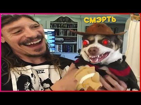 741 СЕКУНДА СМЕХА | ЛУЧШИЕ ПРИКОЛЫ НОЯБРЬ 2018 #99