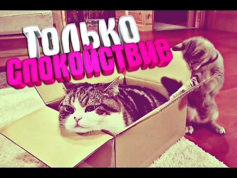 УГАРНЫЕ ПРИКОЛЫ ДО СЛЕЗ 2017 - Новые смешные видео - лучший тест на психику