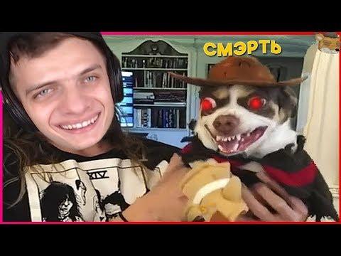 БАЗЯ СМОТРИТ - 741 СЕКУНДА СМЕХА | ЛУЧШИЕ ПРИКОЛЫ НОЯБРЬ 2018 #99 - Академия Смеха