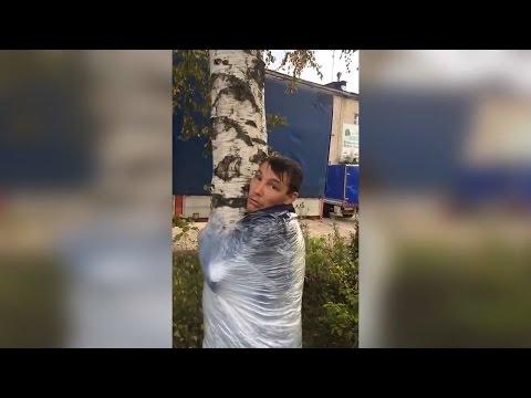 Новые приколы ноябрь 2016