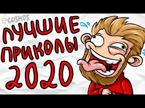 ЛУЧШИЕ ПРИКОЛЫ ЗА 2020 (Анимация) 2/2 | COSMOS
