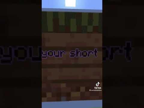i dont make the rules, i just follow them #Майнкрафт #Minecraft #приколы #Jokes #shorts