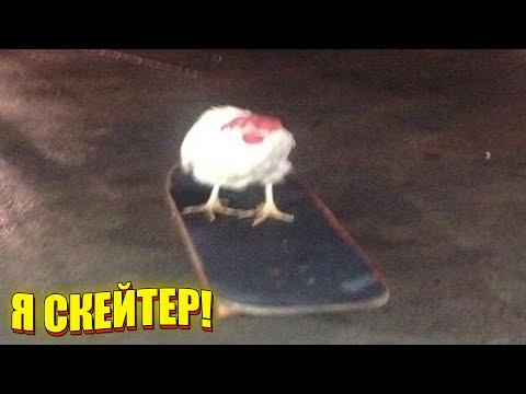 ЗАСМЕЯЛСЯ - ПОДПИСАЛСЯ!! ЛУЧШИЕ ПРИКОЛЫ 2021 ТЕСТ НА ПСИХИКУ УГАР! #52