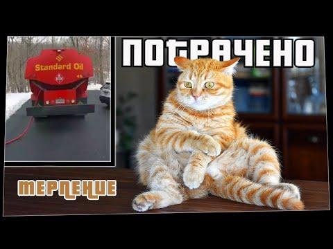 ПОТРАЧЕНО. Терпение. Лучшие приколы 2021, смешные видео и фейлы