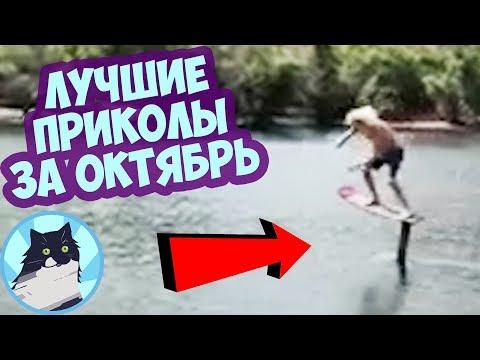 ЛУЧШИЕ ПРИКОЛЫ ЗА ВЕСЬ ОКТЯБРЬ 