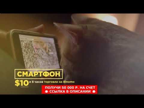 На чем основаны бинарные опционы