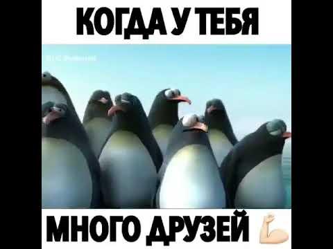 упоротыи́ мультик